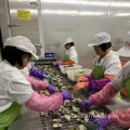 Industrial Blast Tunnel Freezer For IQF Shrimp Fish
